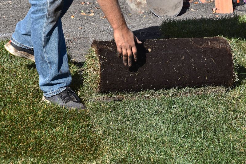 Lawn Rolling