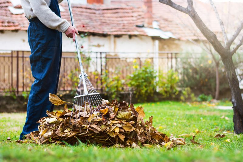 Autumn Lawn Preparation