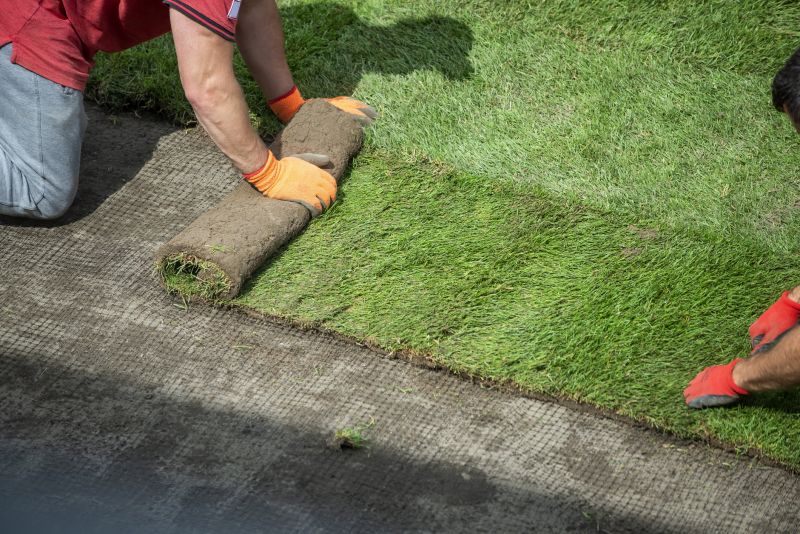 Understanding Lawn Rolling Costs — Cost of Lawn Rolling