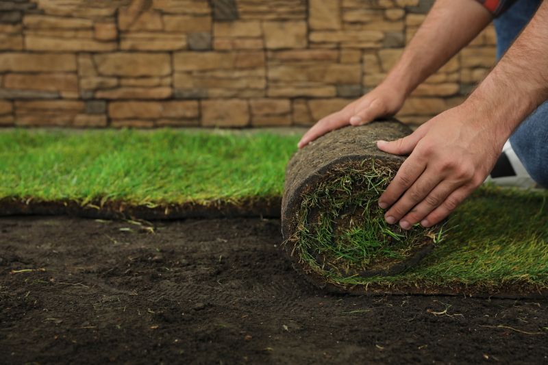 Understanding Lawn Rolling Costs — Cost of Lawn Rolling