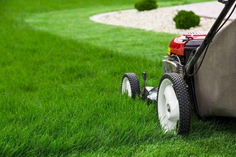 Understanding Lawn Rolling Costs — Cost of Lawn Rolling