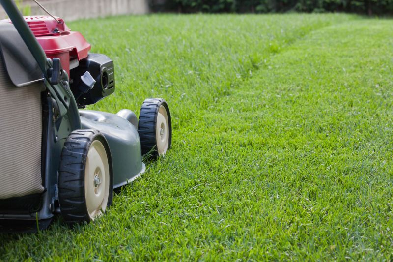 Understanding Lawn Rolling Costs — Cost of Lawn Rolling
